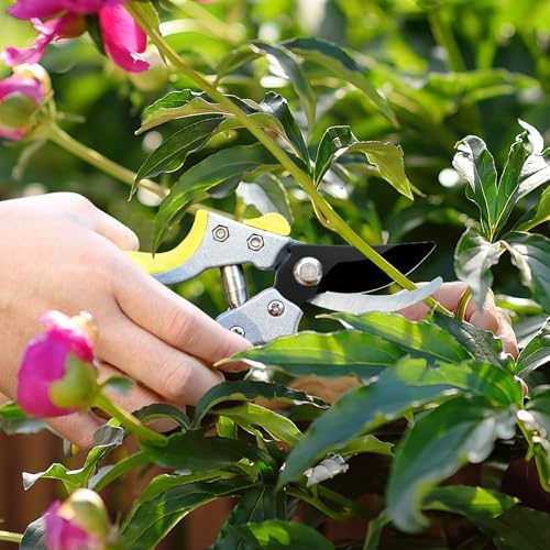 tree branch cutter garden shears set, loppers for, front angle view