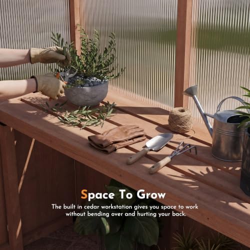 modern shade everbloom 6.5'x10' wooden greenhouse, 8' extra-tall, view 9