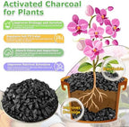 legigo 12qt horticultural charcoal- natural biochar soil amendment, close-up detail