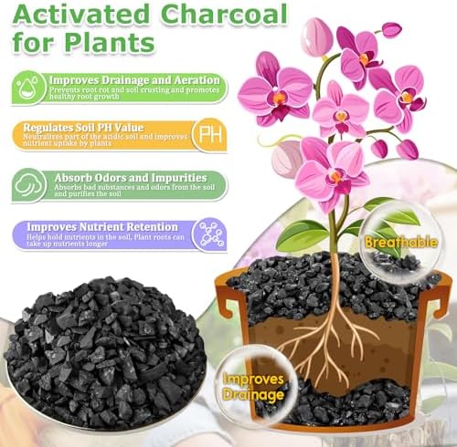legigo 12qt horticultural charcoal- natural biochar soil amendment, close-up detail