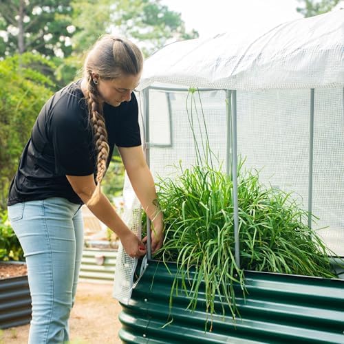 vego garden frost greenhouse cover system for 3.5', view 9