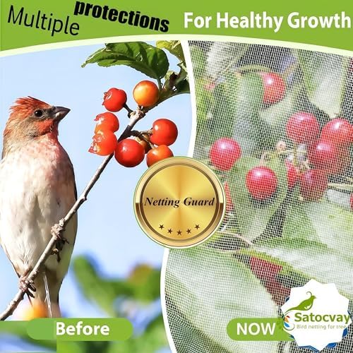 large fruit tree netting 2 pack 10x10 ft, side view