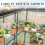 king bird premium greenhouse for outdoors, 56x56x77 upgraded, front angle view