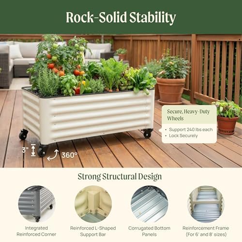 vego garden classic rolling citrus tree planter – on a desk or shelf