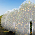 large fruit tree netting 15 x 15 ft showing dimensions