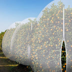 large fruit tree netting 15 x 15 ft showing dimensions