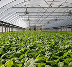 garden netting pest barrier: 10'x50' fine bug insect, front angle view