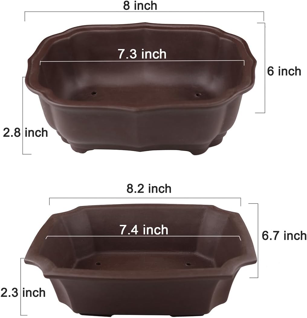 muzhi 2 pack 8" unglazed ceramic bonsai tree shown in use