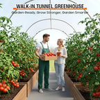 walk-in tunnel greenhouse for outdoors 14.8 x 7.9 on a desk or shelf
