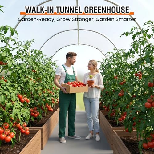 walk-in tunnel greenhouse for outdoors 14.8 x 7.9 on a desk or shelf