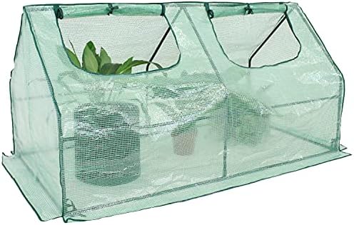 sunnydaze outdoor portable mini cloche greenhouse with 2 on a desk or shelf