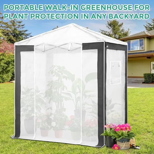 eagle peak 6x4 walk in pop up greenhouse on a desk or shelf