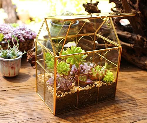 glass geometric plant terrarium,succulent & air planter for, package contents