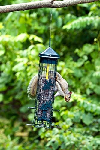 squirrel solution200 squirrel-proof bird feeder w/6 feeding ports on a desk or shelf