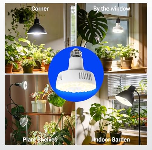 Barrina OG11A Grow Light Bulbs for Indoor Plant, 4000K 11W, 1 Pack, White | Integrated Dimming & Timing, E26 Plant Light Bulb, Full Spectrum, High PPFD for Seeds and Greens
