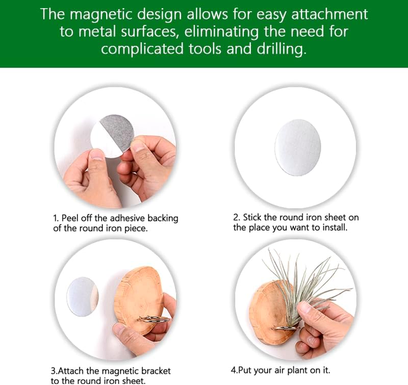 Magnetic air Plant Holder Refrigerator Sticker (Cypress Wood, 3) | Natural Wood Irregular Shape air Plant Wall Mount Holder. Refrigerator, Wall Decoration.living rooms, and kitchens