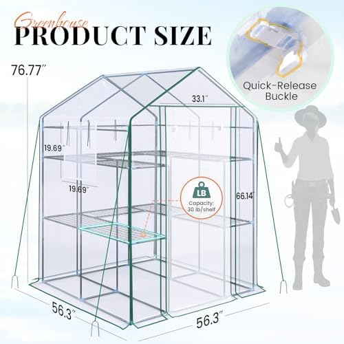 king bird premium greenhouse for outdoors, 56x56x77 upgraded shown in use