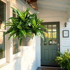 artificial greenery stems fake bird nest fern faux, front angle view