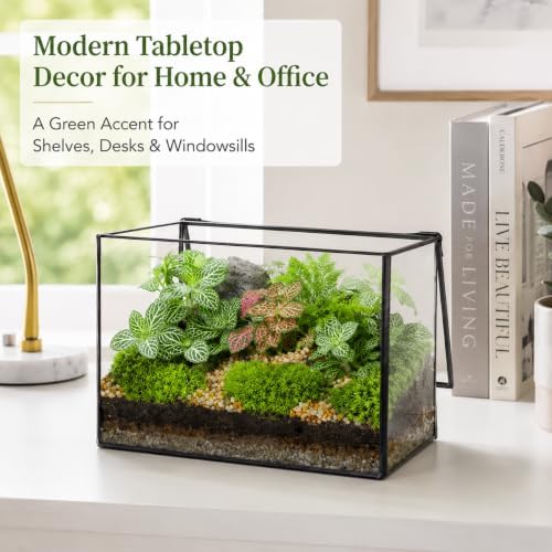 glass plant terrarium with lid, rectangular black metal, package contents