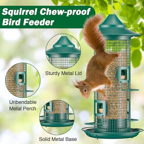 metal bird feeder for outdoors hanging, 2lb chew shown in use
