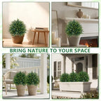 artificial 2 pack cedar topiary trees with ground showing dimensions