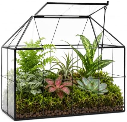 large glass terrarium house planter – succulent plant, front angle view