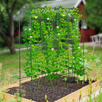 garden cucumber trellis large 6ft tall metal trellis showing dimensions
