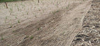 jute erosion control, soil saver mesh blanket on a desk or shelf