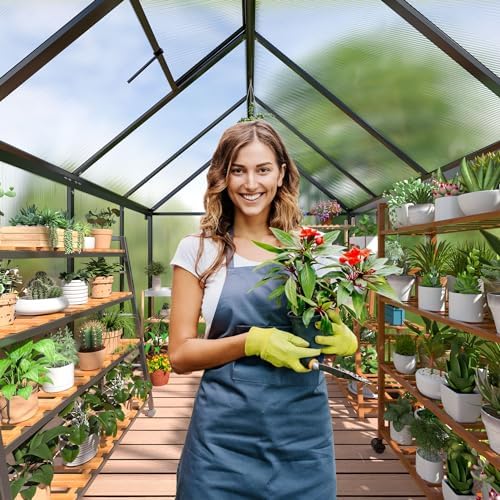 polar aurora 6x8 ft walk-in polycarbonate heavy duty shown in use