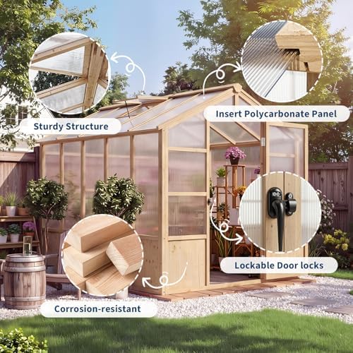 heavy duty walk-in wooden greenhouse kit, 4mm polycarbonate shown in use