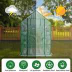 walk in greenhouse with shelves,walk-in plant plastic green, side view