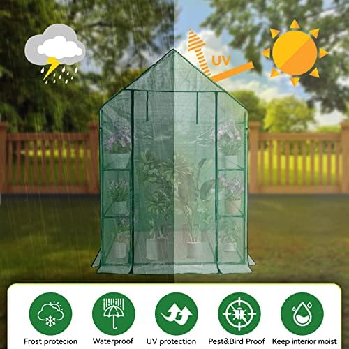 walk in greenhouse with shelves,walk-in plant plastic green, side view