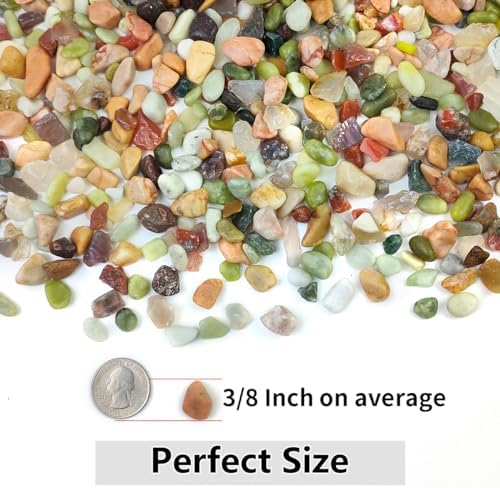 2LB Succulent and Cactus Colorful Pebbles, 3/8 Inch Stones | Pebbles for Indoor Plants Natural Decorative Polished River Rocks for Vases, Planters and Outdoor Gardening