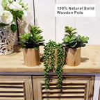 artificial succulents plastic artificial green plant for office, package contents