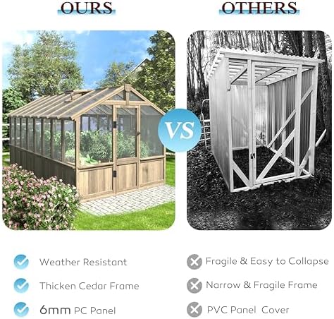 bluewish 8x16ft wood greenhouse, greenhouses with cedar frame on a desk or shelf