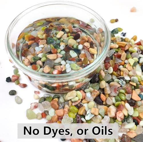 2LB Succulent and Cactus Colorful Pebbles, 3/8 Inch Stones | Pebbles for Indoor Plants Natural Decorative Polished River Rocks for Vases, Planters and Outdoor Gardening