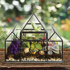 d'eco glass castle plant terrarium, centerpiece & wedding showing dimensions