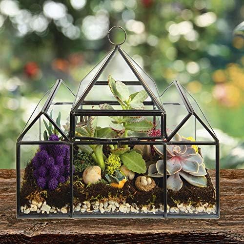 d'eco glass castle plant terrarium, centerpiece & wedding showing dimensions