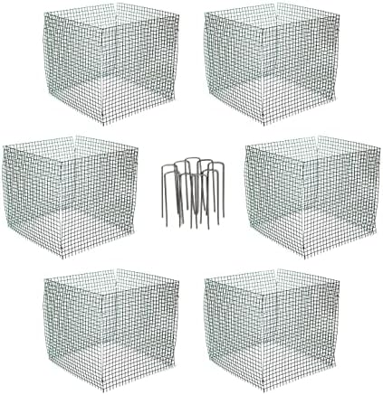 6 new small wire plant protectors, 12" square on a desk or shelf