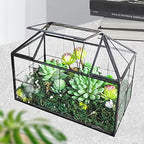 ferrisland glass geometric plant terrarium, clear glass succulent, package contents