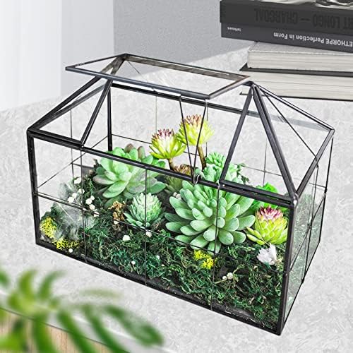 ferrisland glass geometric plant terrarium, clear glass succulent, package contents