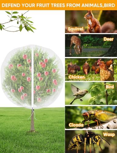 viti fruit tree netting for cicadas - with shown in use