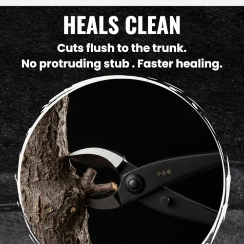 senkichi 8.3" japanese bonsai concave cutter – professional, side view