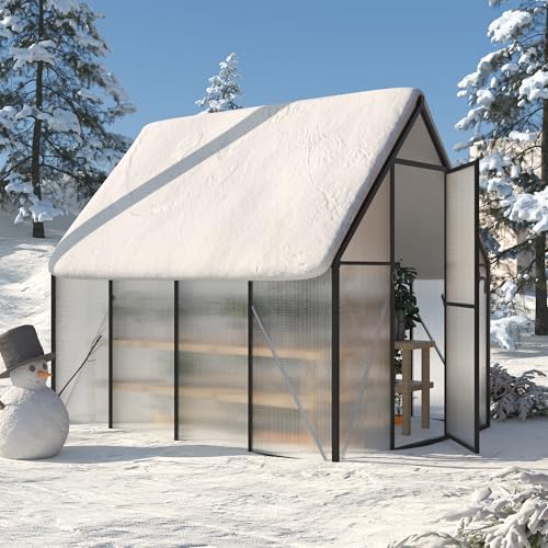 6x8 ft greenhouse for outdoors, polycarbonate greenhouse with, front angle view