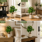 17.5 inch artificial fiddle leaf fig tree in, front angle view
