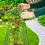 sunnydaze chicken wire cloche covers for plant protection, front angle view