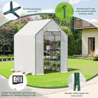 small greenhouse for outdoors, walk-in plant greenhouse with showing dimensions