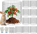 metal wire plant protector,10 pack garden cages for, main product view
