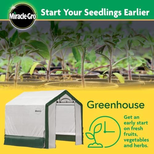 miracle-gro walk-in outdoor greenhouse, clear, 6 x 6 showing dimensions