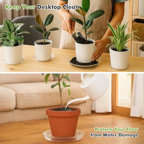 70 packs 12" clear plant saucers for indoor, side view